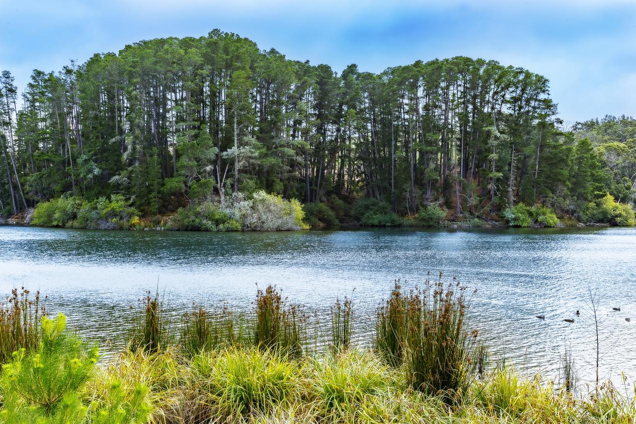 The Sebel Creswick Forest Resort Eksteriør billede